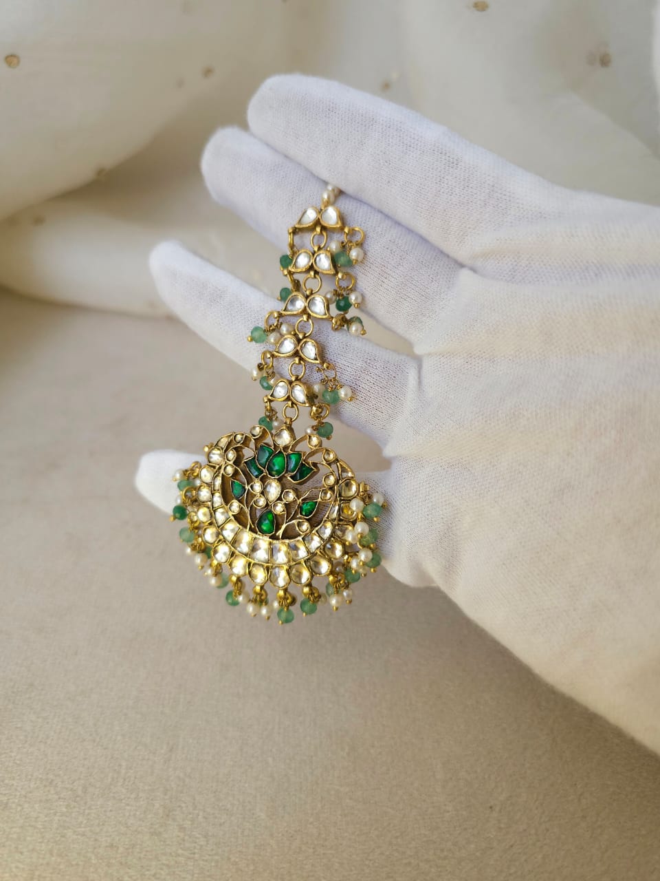 Fern flora chandtika