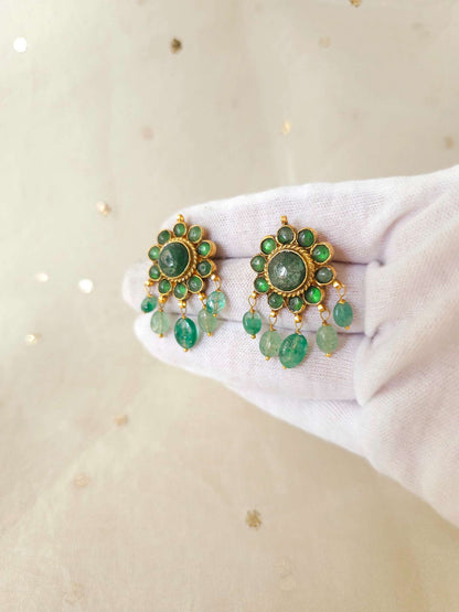 pampa sarovar studs